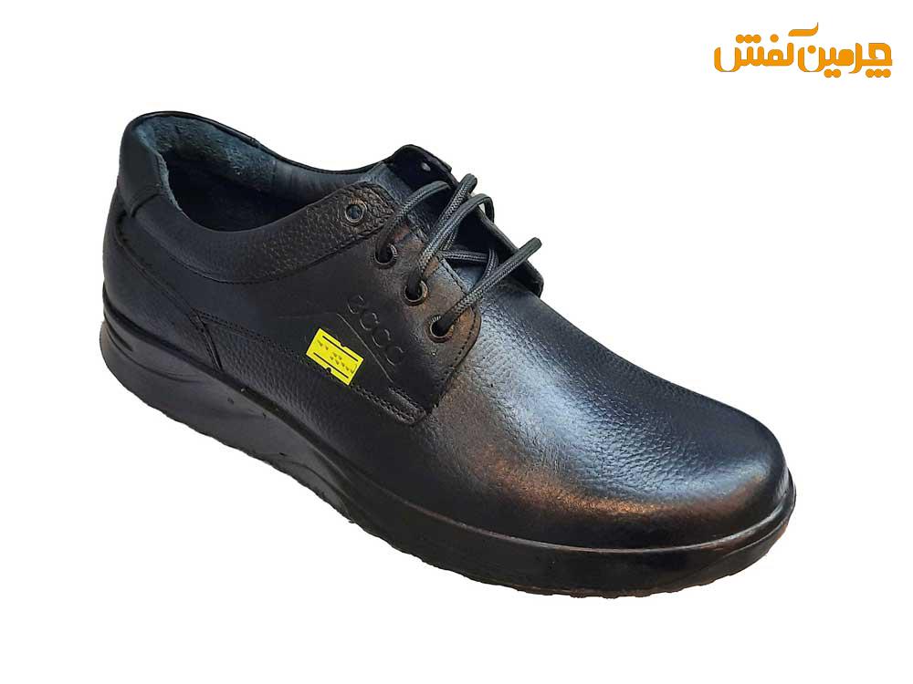 کفش چرم مردانه سایز بزرگ ( بزرگ پا ) رخشی مدل اکو کد 22163 + رنگبندی