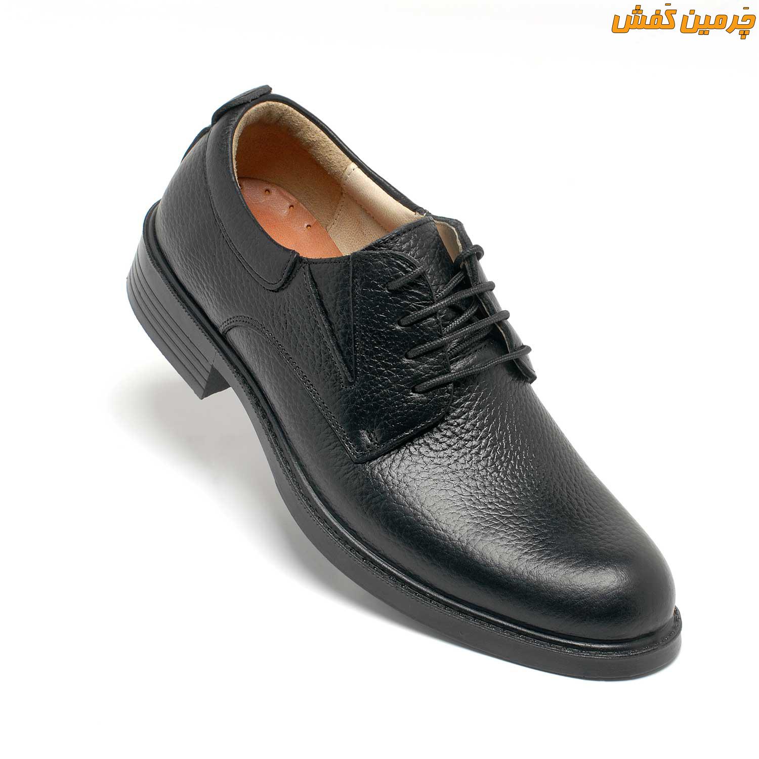 کفش تمام چرم مردانه فرزین مدل فدرال شیرانک بندی کد 7553